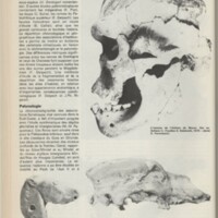 Le courrier du CNRS 23