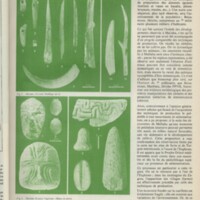 Le courrier du CNRS 22