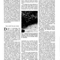 courrier cnrs 46_Page_41.jpg