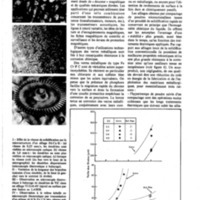 courrier cnrs 52-53_Page_56.jpg