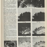 Le courrier du CNRS 21