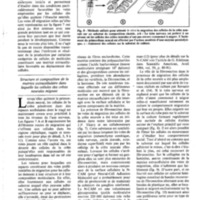courrier cnrs 55-56_Page_31.jpg