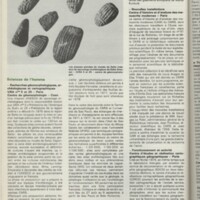 Le courrier du CNRS 28