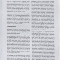 Bulletin de l'Association des anciens et des amis du CNRS n°29