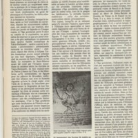 Le courrier du CNRS 20