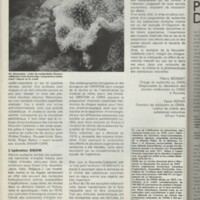 Le courrier du CNRS 28