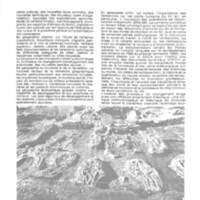 Rapport CNRS 1974-science_212.jpg