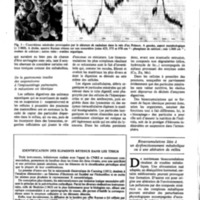 courrier cnrs 54_Page_31.jpg