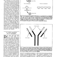 courrier cnrs 51_Page_20.jpg