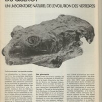 Le courrier du CNRS 25