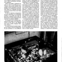 courrier cnrs 46_Page_37.jpg