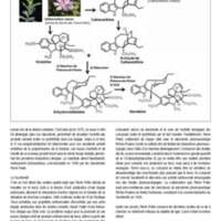 A3Magazine72Chimie_Page_30.jpg