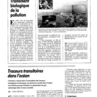 courrier cnrs 72_Page_036.jpg