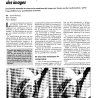 courrier cnrs 77_Page_052.jpg