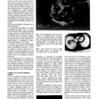 courrier cnrs 66-67-68_Page_075.jpg