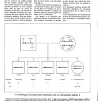 courrier cnrs 41_Page_41.jpg