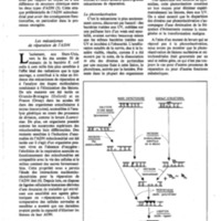 courrier cnrs 48_Page_19.jpg
