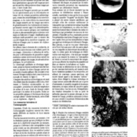 courrier cnrs 66-67-68_Page_080.jpg