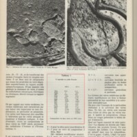 Le courrier du CNRS 21