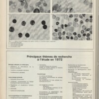 Le courrier du CNRS 7