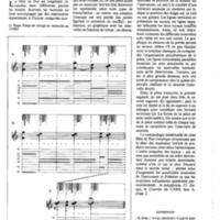 courrier cnrs 42_Page_40.jpg