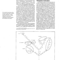 courrier cnrs 59_Page_32.jpg