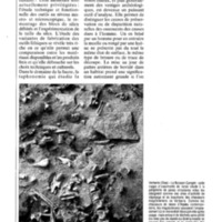 courrier cnrs 73_Page_08.jpg