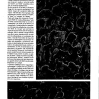 courrier cnrs 66-67-68_Page_109.jpg