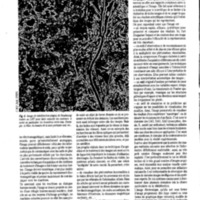 courrier cnrs 66-67-68_Page_010.jpg