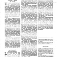 courrier cnrs 46_Page_45.jpg