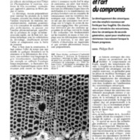 courrier cnrs 71_Page_077.jpg