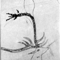 courrier cnrs 47_Page_52.jpg