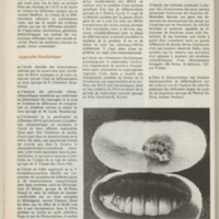 Le courrier du CNRS 17