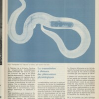 Le courrier du CNRS 18