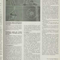 Le courrier du CNRS 28