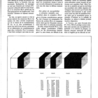 courrier cnrs 41_Page_48.jpg
