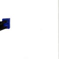 Cahiers pour l'histoire du CNRS 8