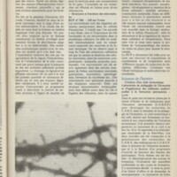 Le courrier du CNRS 18