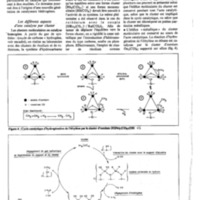 courrier cnrs 47_Page_12.jpg