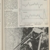 Le courrier du CNRS 26