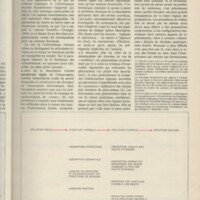 Le courrier du CNRS 32