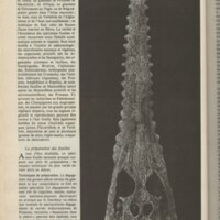 Le courrier du CNRS 32