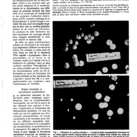 courrier cnrs 41_Page_18.jpg