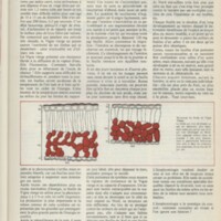 Le courrier du CNRS 20