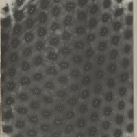 Le courrier du CNRS 25