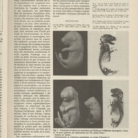 Le courrier du CNRS 32