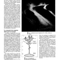 courrier cnrs 76_Page_099.jpg