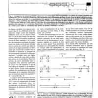 courrier cnrs 51_Page_21.jpg