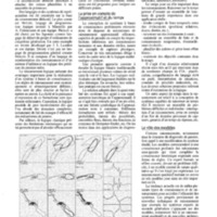courrier cnrs 80_Page_067.jpg