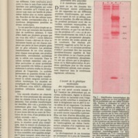 Le courrier du CNRS 34